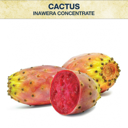 INA Cactus