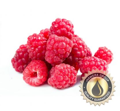 INA Raspberry